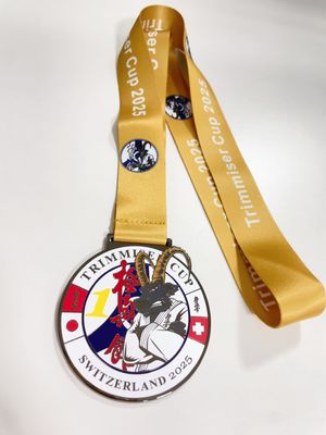 Goede prijs. Hot Sale Zink legering Customized Logo Gold Plating Award Medal voor sport en evenementen online