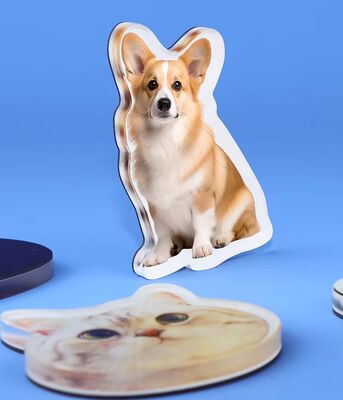 Goede prijs. HAPPY GIFT Custom Manufacture Pet Design Acryl koelkast Magnet schattig anime aanpassing holografische plastic sticker online